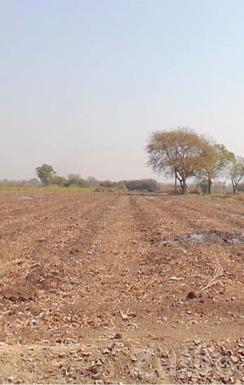 4 Bigha Agricultural Land for Sale 4 Bigha Agricultural Land for Sale
