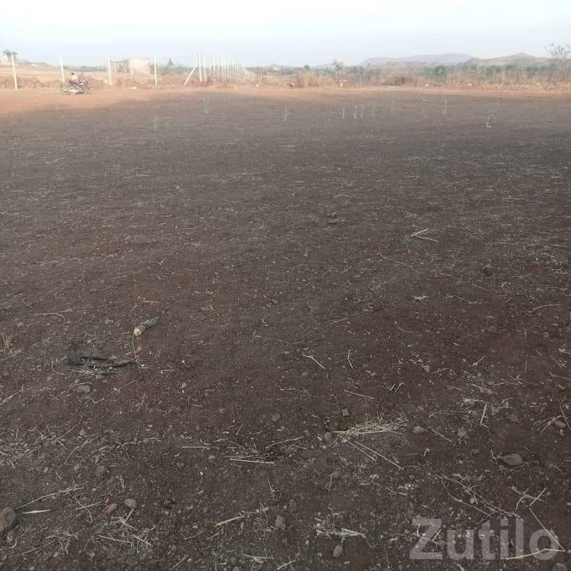 25 Vigha Agricultural Land for Sale 25 Vigha Agricultural Land for Sale