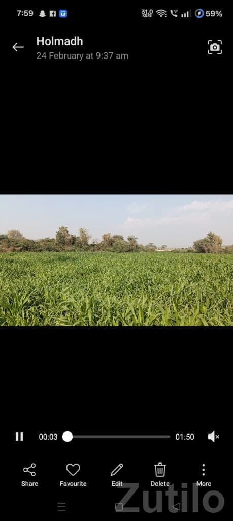 50 Guntha Agricultural Land for Sale 50 Guntha Agricultural Land for Sale