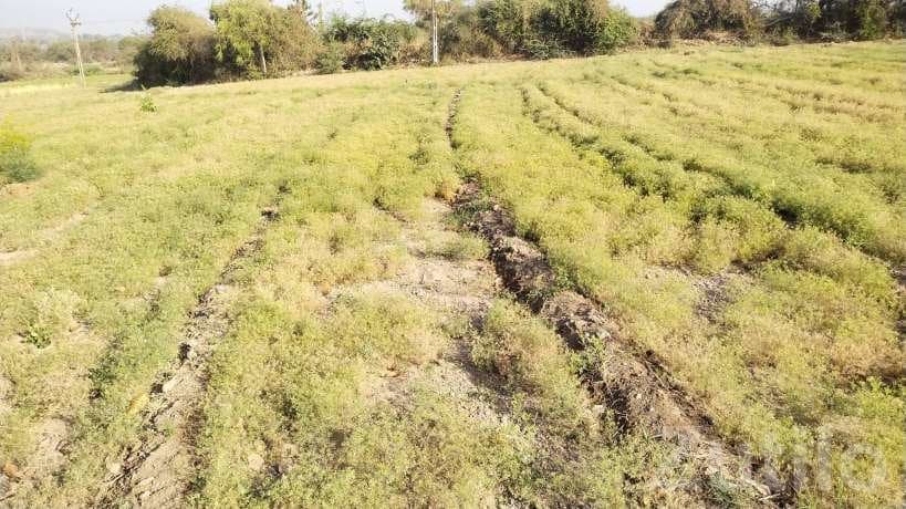4 Acre Agricultural Land with House for Sale 4 Acre Agricultural Land with House for Sale
