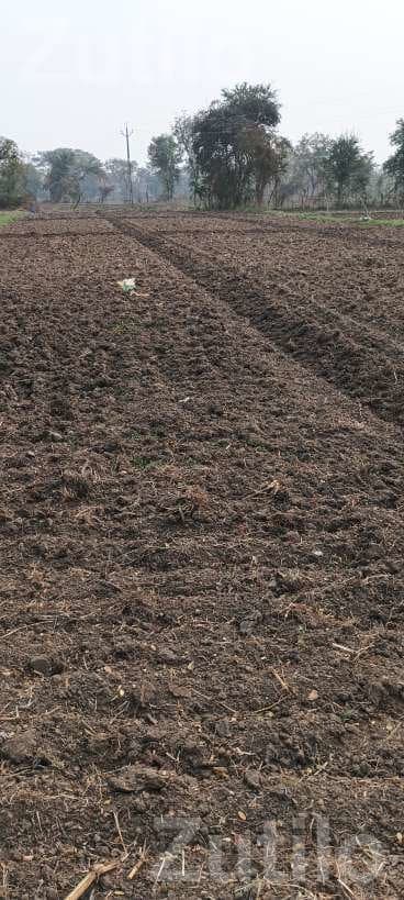 Agricultural Land Plot for Sale Agricultural Land Plot for Sale