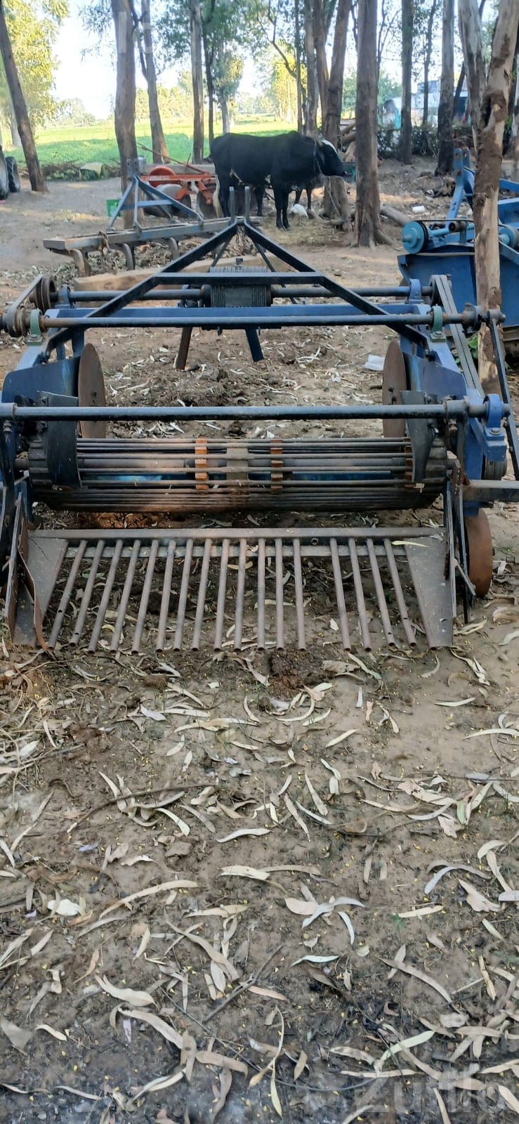 બડાકાનુ ડીગર બડાકાનુ ડીગર