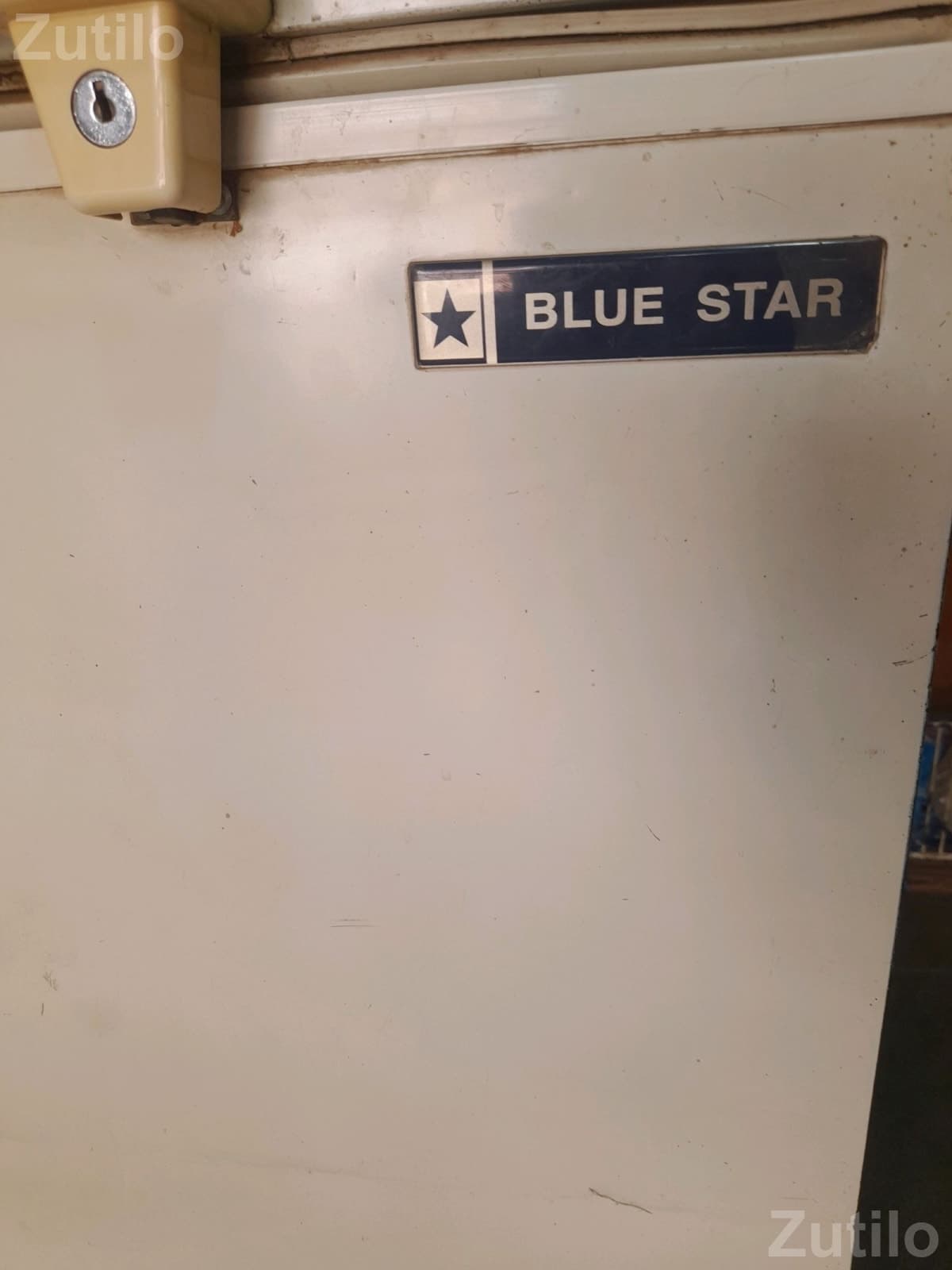Blue Star Deep Freezer for Ice Cream Blue Star Deep Freezer for Ice Cream