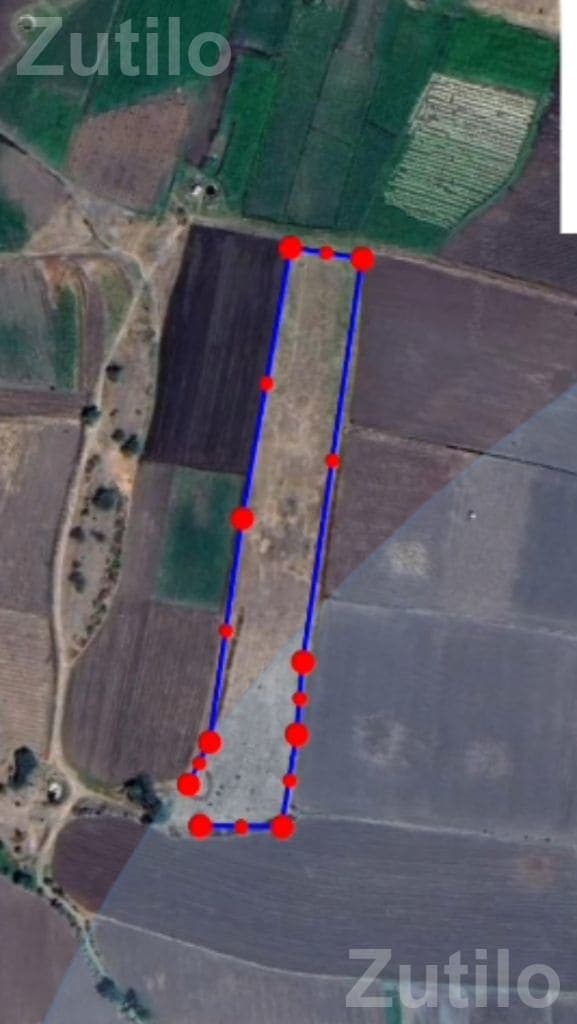 5 Vigha Agricultural Land for Sale 5 Vigha Agricultural Land for Sale