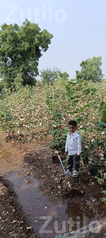 12.30 Vigha Road Touch Agricultural Land 12.30 Vigha Road Touch Agricultural Land