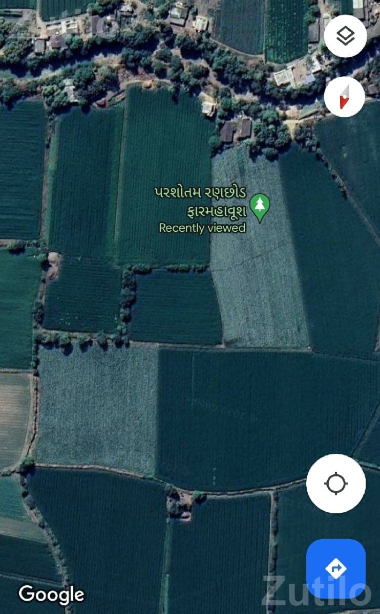 12.5 Vigha Agricultural Land with Water Source 12.5 Vigha Agricultural Land with Water Source