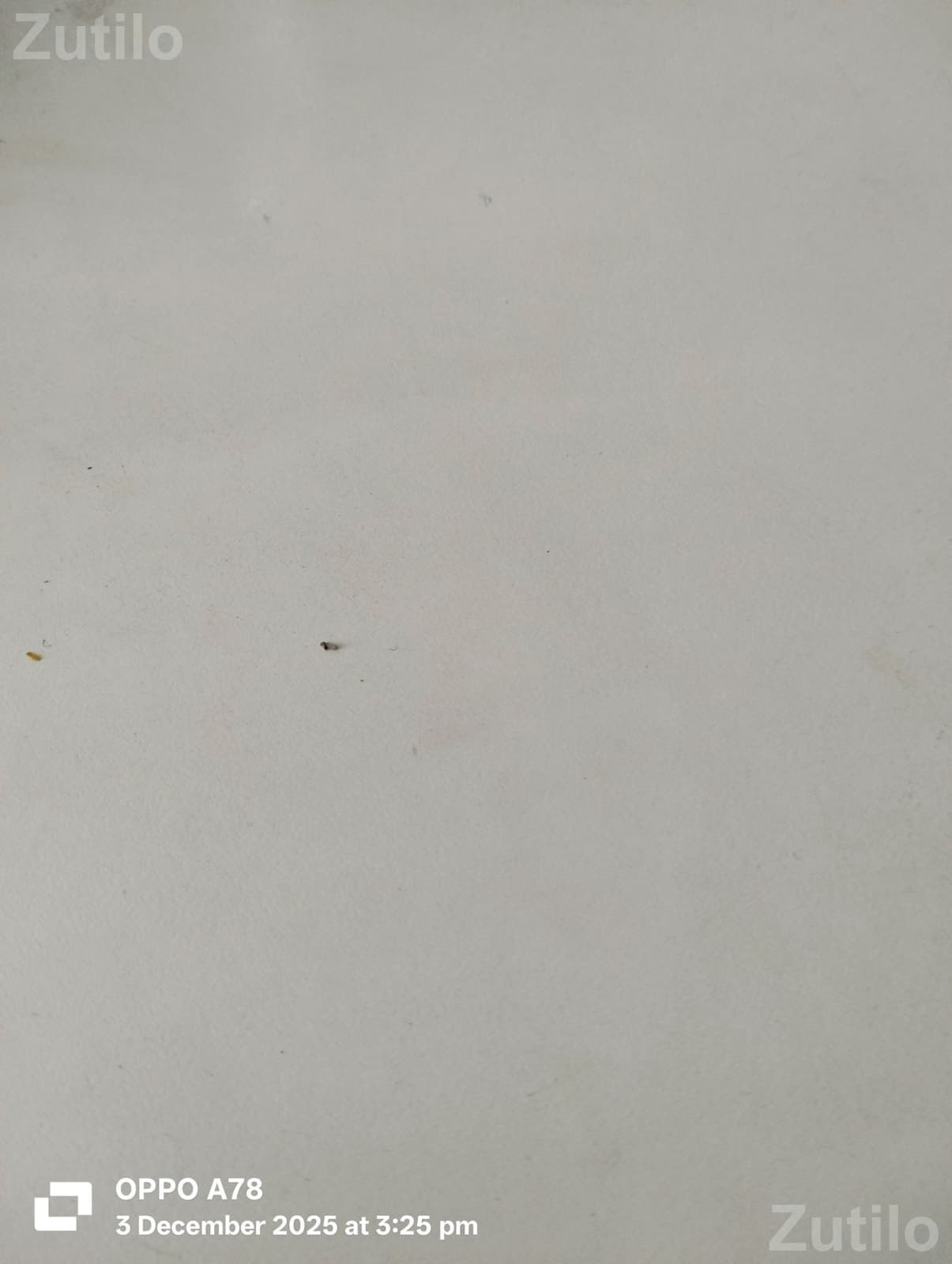 Snack and Tea Street Cart with Glass Boxes Snack and Tea Street Cart with Glass Boxes