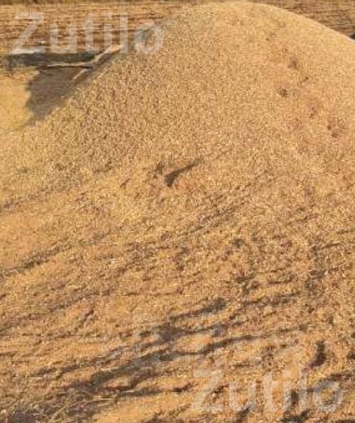 10 Vigha Agricultural Land in Kagaddi 10 Vigha Agricultural Land in Kagaddi