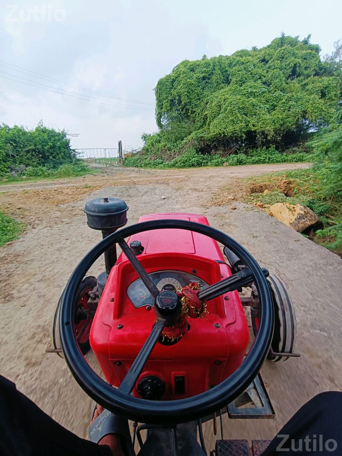 યુવરાજ 215 વેચવાનું છે યુવરાજ 215 વેચવાનું છે